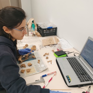 Raquel Enrich Pericás