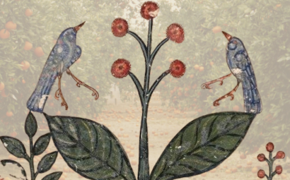 Cultivar el paisaje, cosechar la memoria: plantas, saberes agrarios y transformaciones sociales en el Mediterráneo occidental medieval. Homenaje a Julia M. Carabaza Bravo