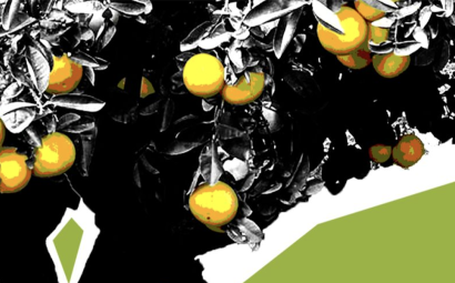Cultivo, poda y dieta. Una lectura arqueobotánica de los frutales medievales