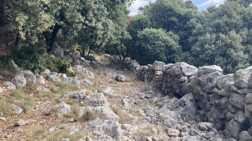 Tinença de Culla