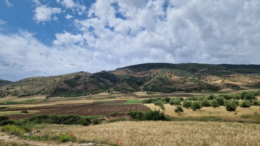 North Africa